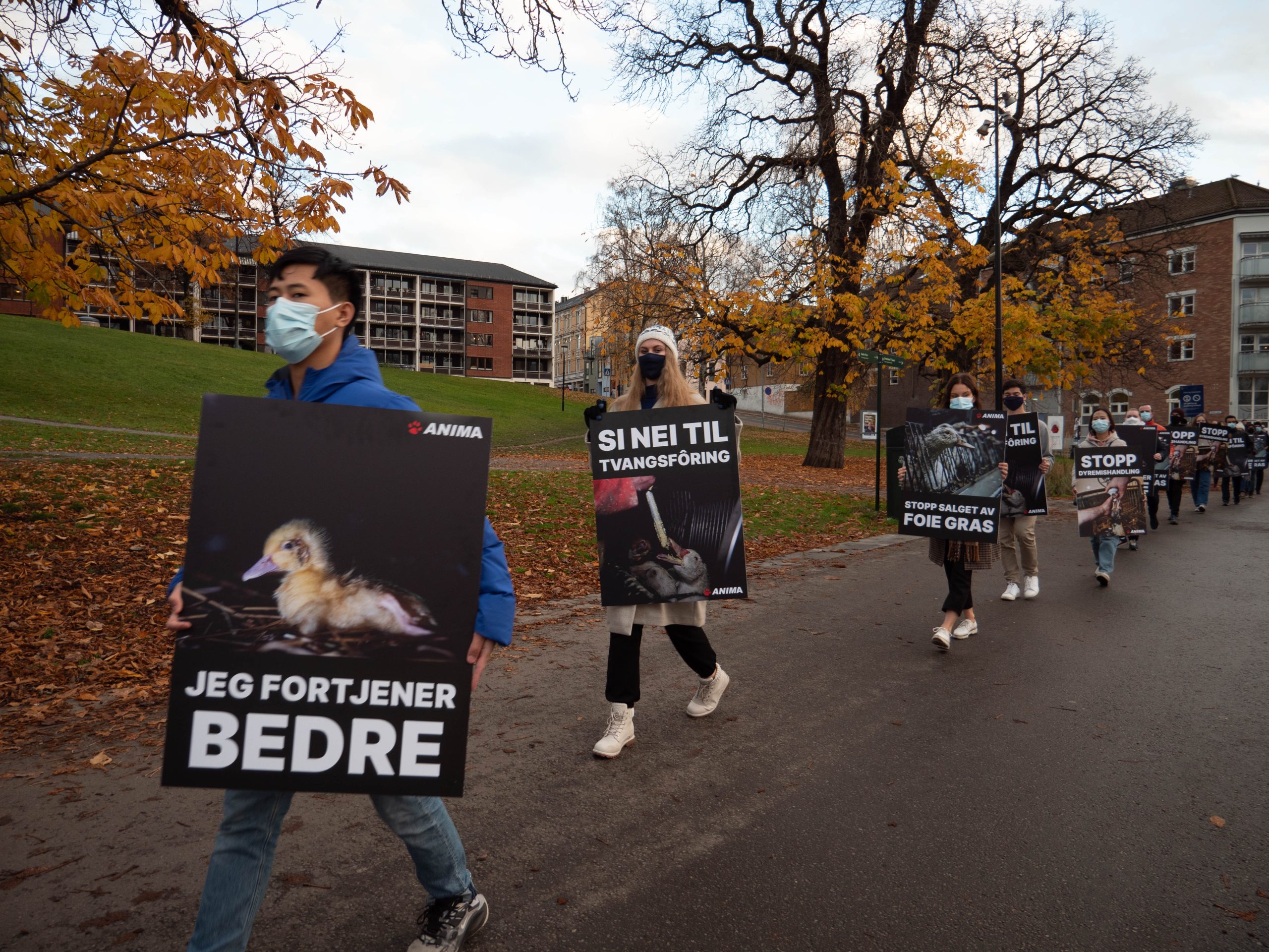 Restauranter snur ryggen til Foie Gras